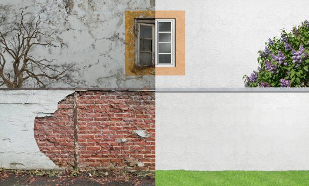 Trusted Kyle, TX Mold Removal Experts